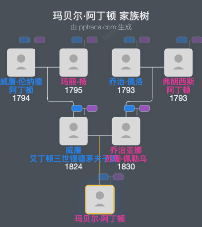玛贝尔·阿丁顿家族树全览