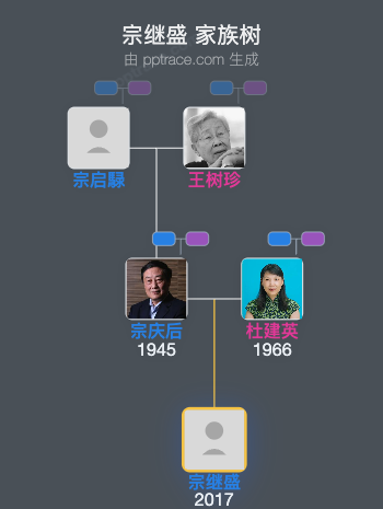 宗继盛 家族树全览