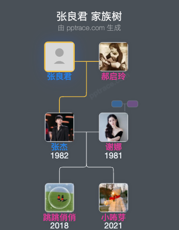 张良君家族树全览