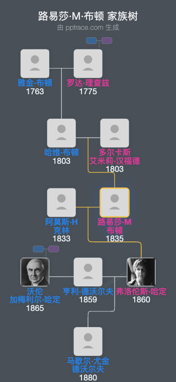 路易莎·M·布顿家族树全览