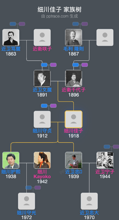 细川佳子家族树全览