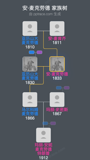 安·麦克劳德家族树全览