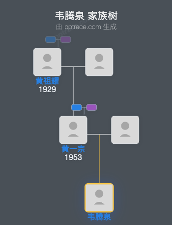 韦腾泉 家族树全览