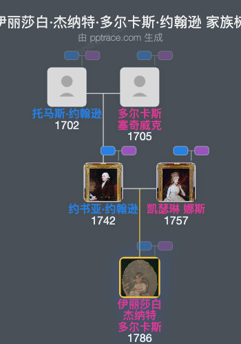 伊丽莎白·杰纳特·多尔卡斯·约翰逊家族树全览