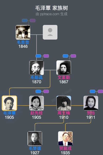 毛泽覃 家族树全览