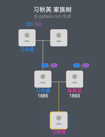 习秋英 家族树全览