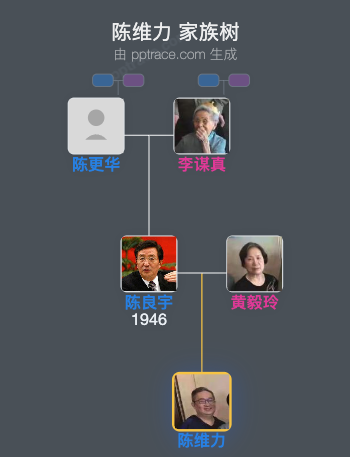 陈维力 家族树全览