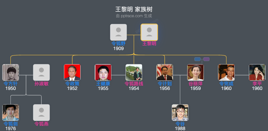 王黎明 家族树全览