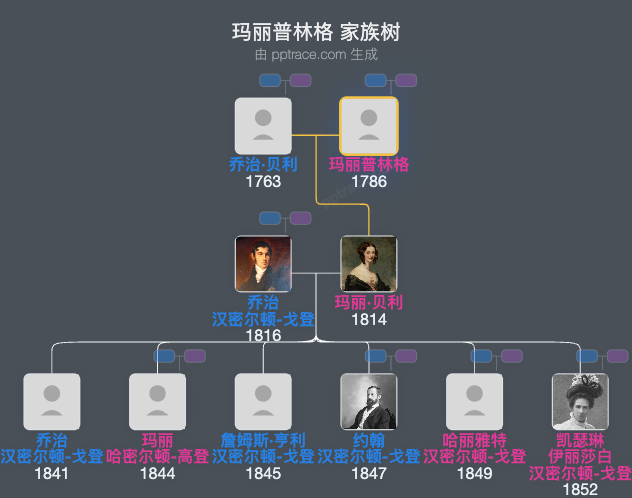 玛丽普林格家族树全览