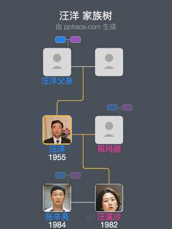 汪洋 家族树全览
