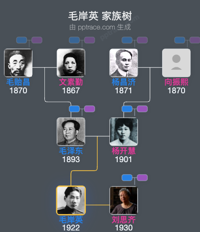 毛岸英 家族树全览