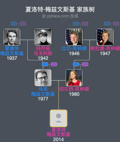 夏洛特·梅兹文斯基家族树全览