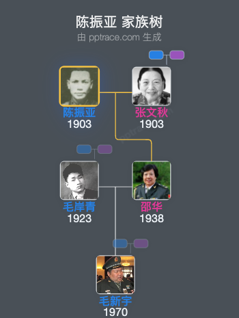 陈振亚 家族树全览