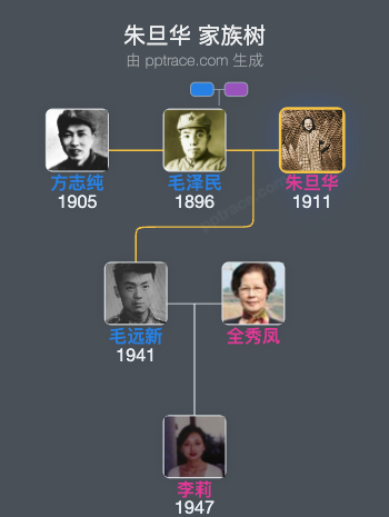 朱旦华 家族树全览