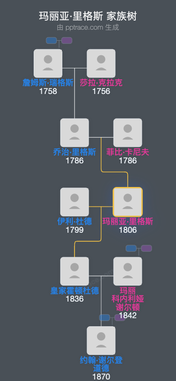 玛丽亚·里格斯家族树全览