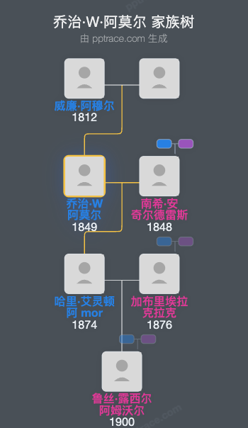 乔治·W·阿莫尔家族树全览