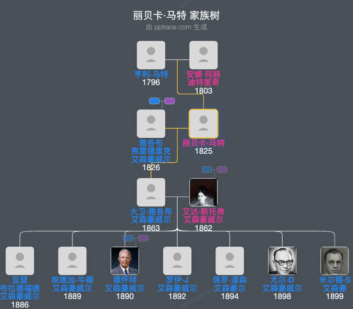 丽贝卡·马特家族树全览