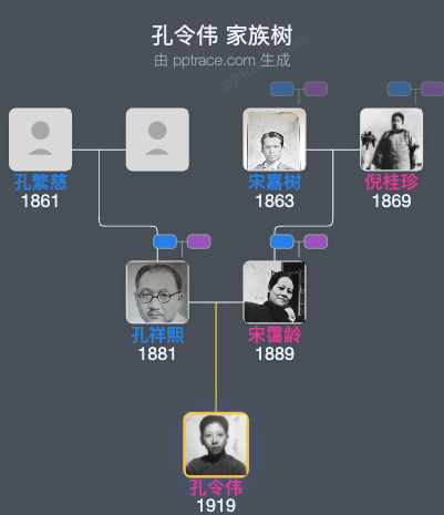孔令伟 家族树全览
