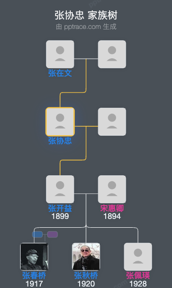 张协忠 家族树全览