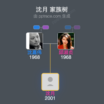 沈月家族树全览