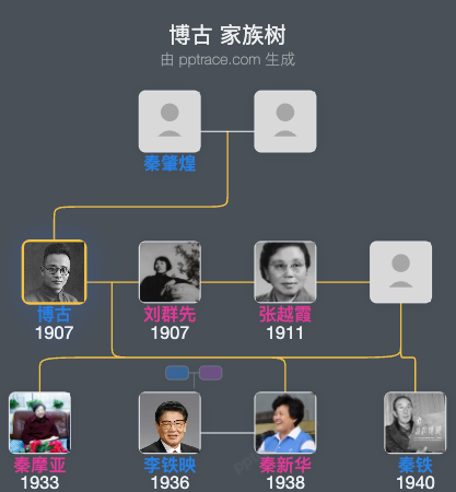 博古 家族树全览