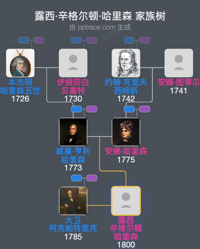 露西·辛格尔顿·哈里森家族树全览