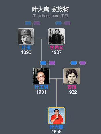 叶大鹰 家族树全览