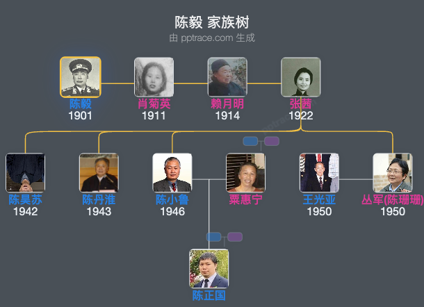 陈毅 家族树全览