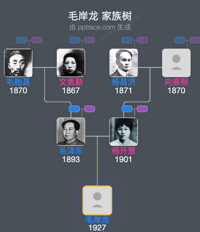 毛岸龙 家族树全览