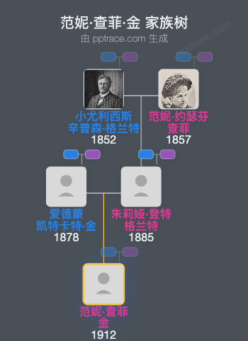 范妮·查菲·金家族树全览